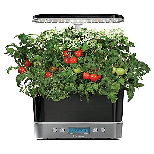 AeroGarden 901104-1200 Indoor Hydroponic Garden Kit